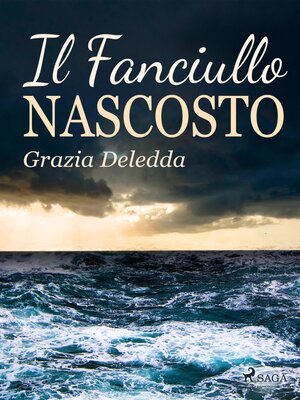 cover image of Il fanciullo nascosto